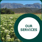 JW Seeds - Our Services